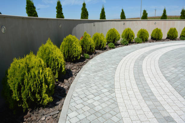 Best Driveway Paver Repairs and Restoration in Baileyton, AL